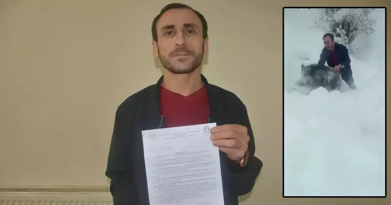 Yavru domuzu elleriyle yakalayan kişiye 15 bin lira ceza