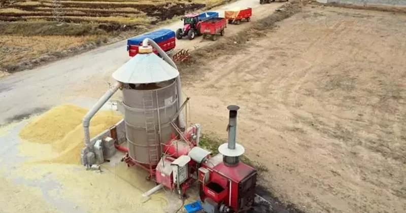 Sinop ta 9 milyon lira maliyetle çeltik kurutma tesisi kurulacak