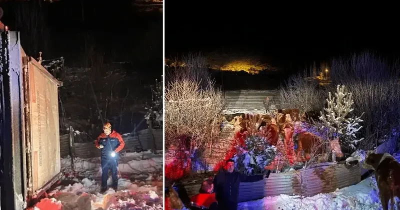 Erzincan’da devrilen tırdaki 47 büyükbaşı AFAD, itfaiye ve jandarma ekipleri kurtardı Erzincan Haberleri