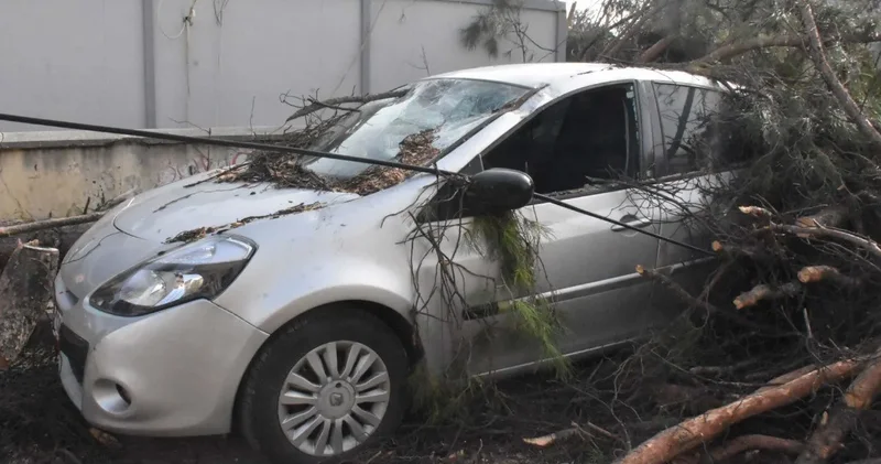İzmir için kritik uyarı: Uzman isim 50 yılda bir olur diyerek uyardı
