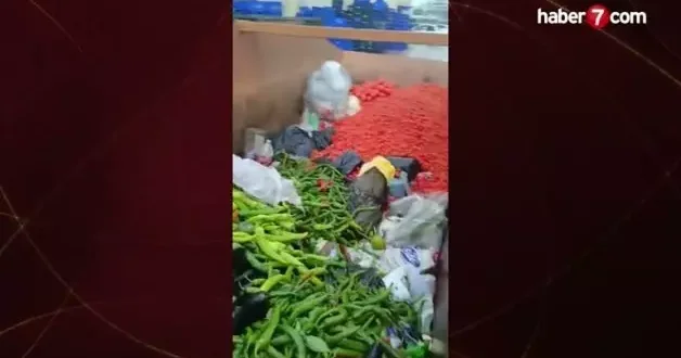 Kilolarca sağlam sebze çöpe atıldı! Vicdansızlık vatandaş kamerasında