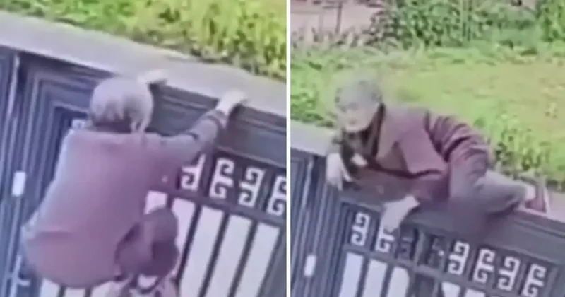 Yaşlı kadın, 2 metrelik duvardan tek hamleden atladı