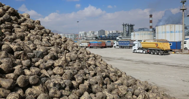 Konya Şeker den üreticiye toplam 12 milyar 780 milyon 545 bin TL lik ödeme Konya Haberleri