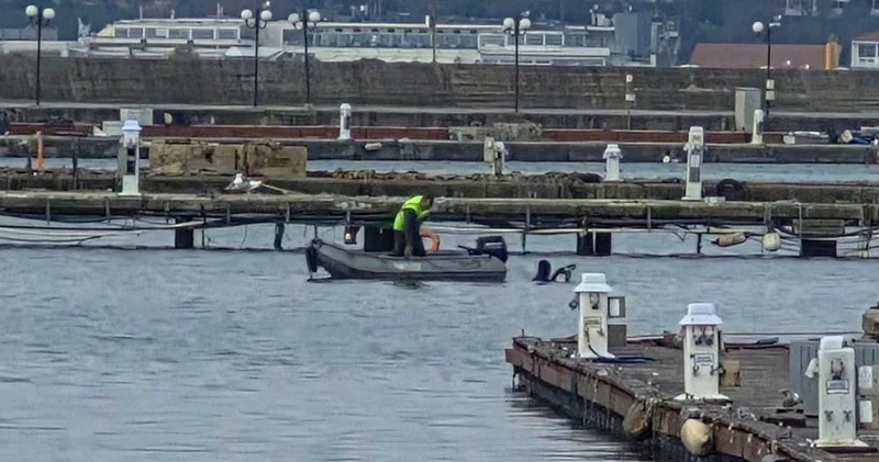 Fenerbahçe nin hazin görüntüsü: Milyarlık yatlardan bembeyaz martılara kaldı