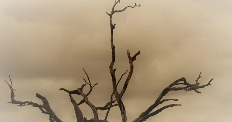 Uzmanı uyardı: İstanbul ve Marmara için çöl tozu alarmı!