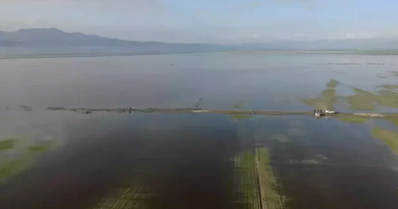 Kahramanmaraş ta sağanak yağış vurgunu! 20 bin dönüm arazi sular altında