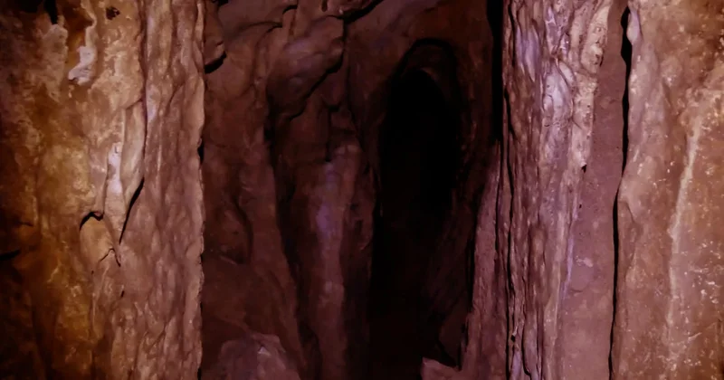 Suudi Arabistan daki mağarada bulunan mumyalanmış yaratıkları inceleniyor Sözcü Gazetesi