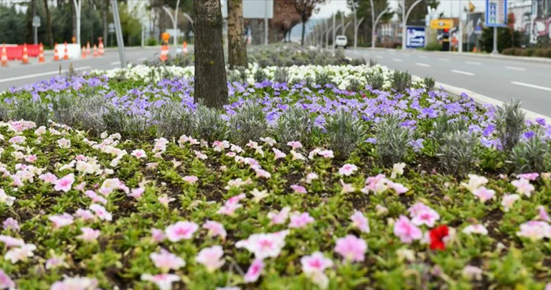 Cemreler ne zaman ve nereye düşecek, ilk cemre düştü mü? Cemre düşme tarihleri 2026