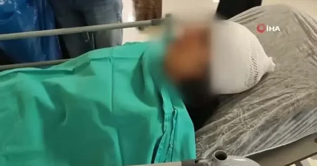 Adana da ekmek almaya giderken sokak köpeklerinin saldırısına uğrayan genç kız yaralandı