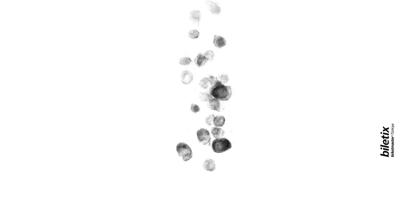 33. İzmir Avrupa Caz Festivali 5 Mart ta başlayacak