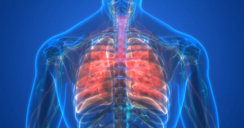 Çöl tozu alarmı! Akciğere zarar veriyor Sağlık Haberleri