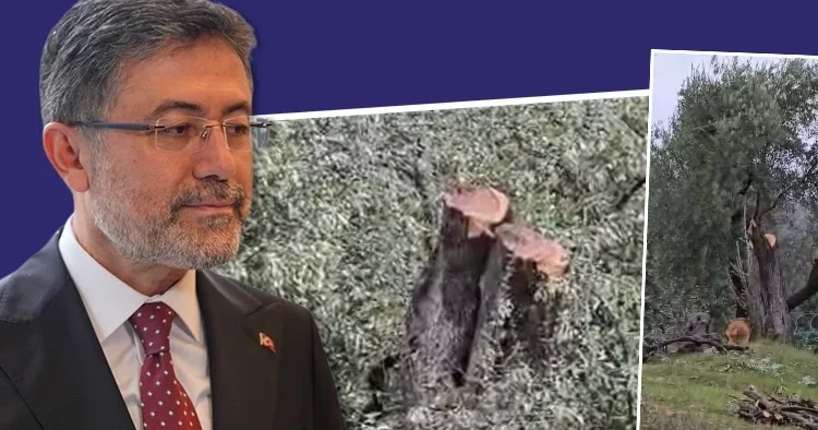 Bakan Yumaklı dan CHP lilere ağaç tepkisi