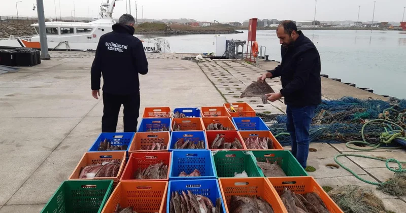 Kaçak avlanan 850 kilo kalkan balığına el konuldu