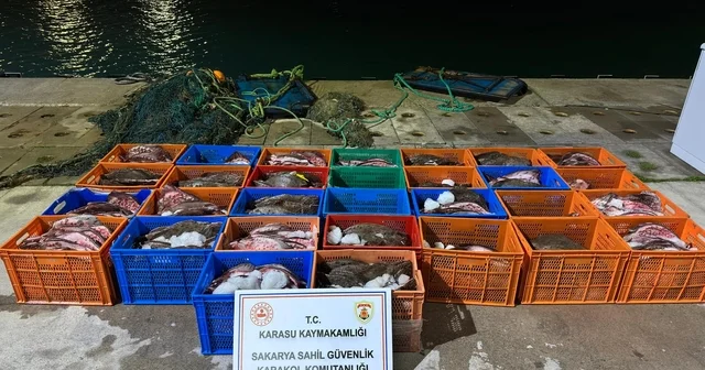 Ülkeye kaçak getirilen 300 kalkan balığı ele geçirildi Sakarya Haberleri