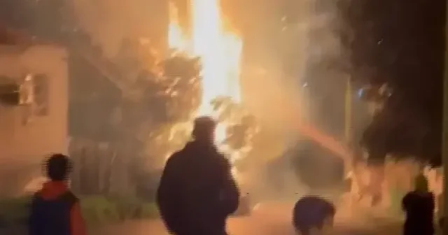 İzmir de fırtına nedeniyle devrilen ağaç alev aldı VİDEO İZLE