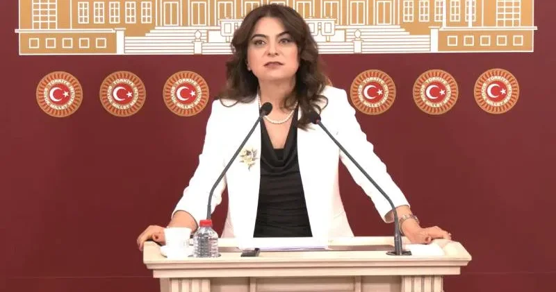 DEM Partili Koçyiğit: Taslak rapora ilişkin eleştirilerimiz ve kabul edemeyeceğimiz yaklaşımlar var