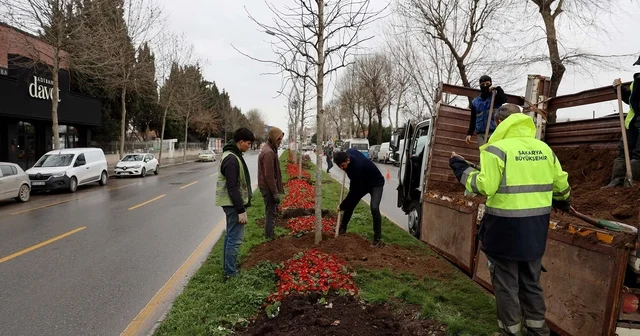 Sakarya da 3 ayda 2 bin 500 ağaç dikildi Sakarya Haberleri