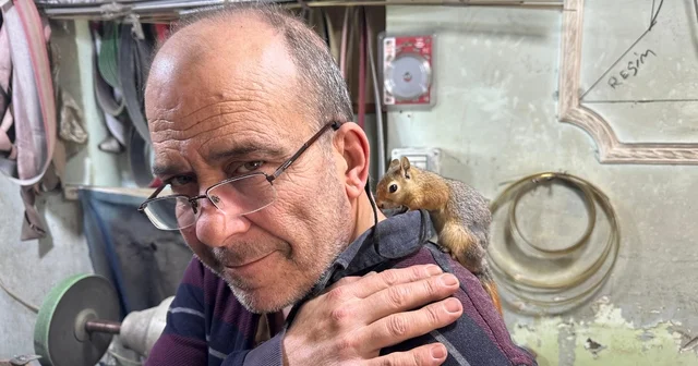 Ormanda bulduğu sincap en yakın dostu oldu Bıçak ustası ile sincabın kıskandıran dostluğu Çanakkale Haberleri