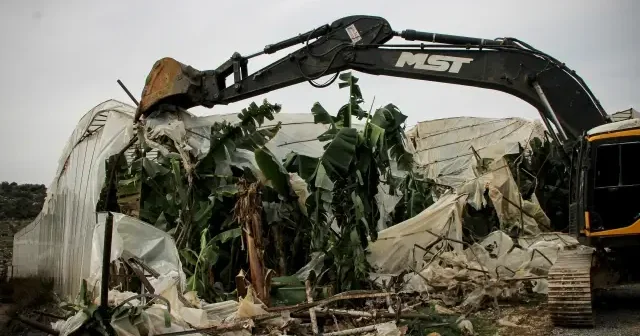 Mersin de orman sınırlarındaki kaçak yapıların yıkımına başlandı VİDEO İZLE