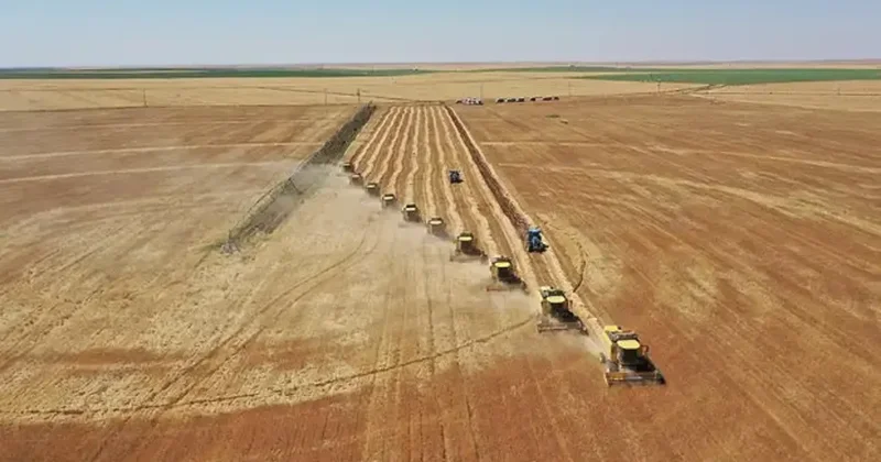 TÜİK ocak ayı tarım verilerini paylaştı: Üretici fiyat endeksi yükselişe geçti