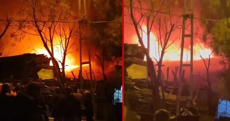 Alevlere teslim olan 2 gecekondu küle döndü