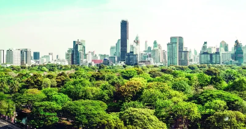 Karbon yutan ormanlar geliyor Ekonomi Haberleri