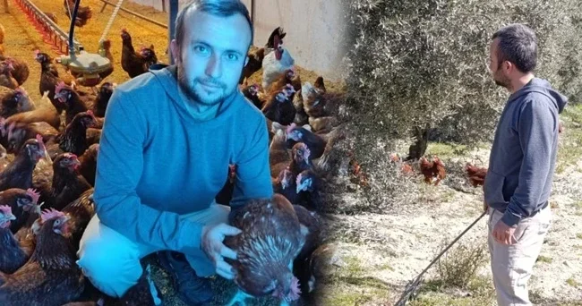 Kiraların artmasıyla köyüne döndü! Üretime başladı: Günde 325 yumurta alıyoruz