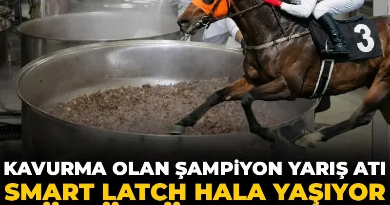 Kavurma olan şampiyon yarış atı Smart Latch hala yaşıyor gözüküyormuş!