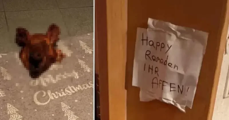 Avusturya da İslamofobik saldırı: Türk ailenin evine domuz kafası bıraktılar Avrupa Haberleri