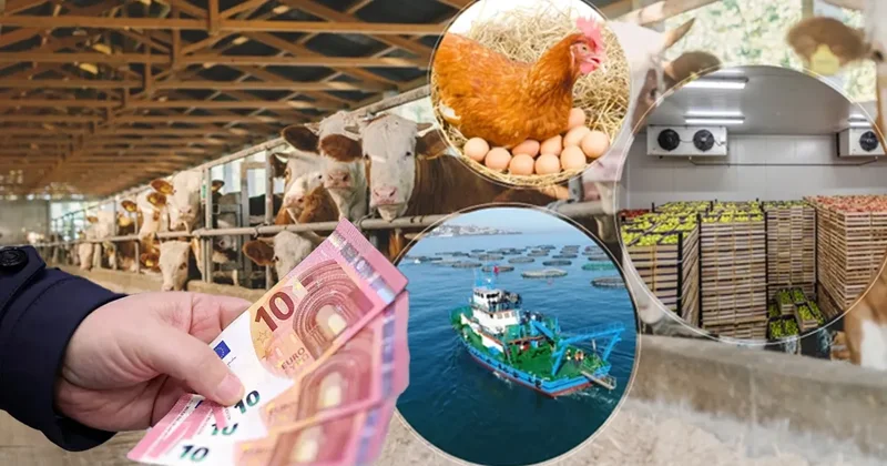 Milyonlara geri ödemesiz 241 milyon euro verilecek! Takvim belli oldu, kimler yararlanacak?