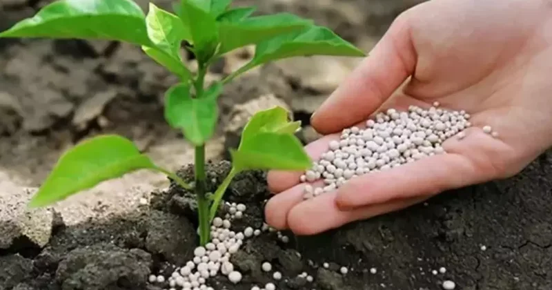 Tahıl Koridoru Modeli Hürmüz’e Taşınabilir mi? İstanbul formülü masada