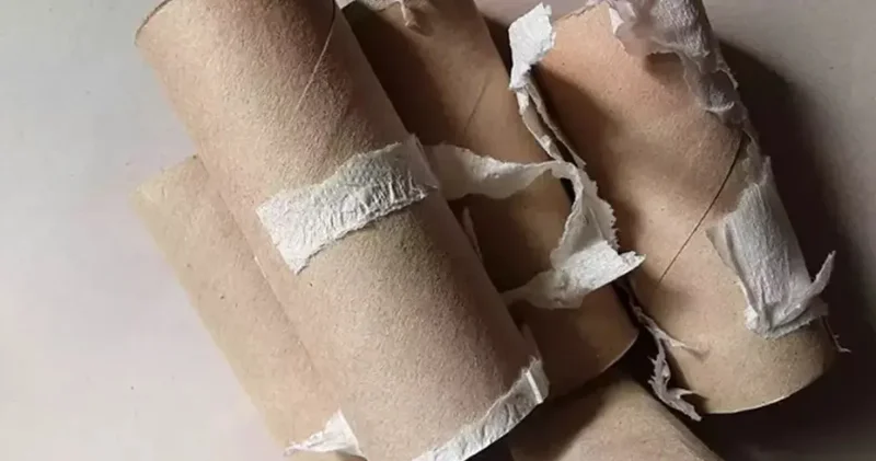 Evde çöpe atılıyordu: Bahçede kullanımı gündem oldu