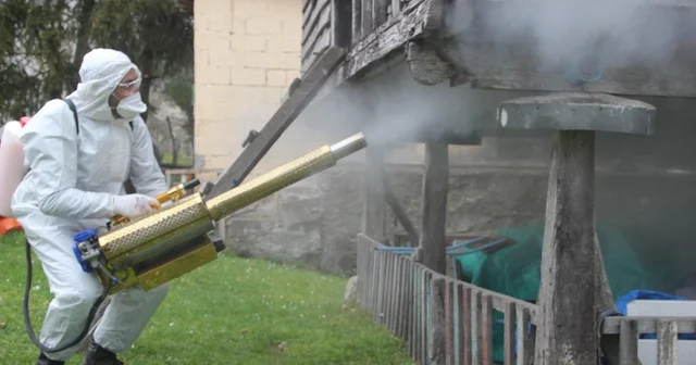 Ordu da kahverengi kokarca ile kışlak mücadelesi: 330 bin noktadan 190 bini ilaçlandı İl Tarım ve Orman Müdürü Bayram Ay: Mücadelede kesinti olmaması gerekiyor Ordu Haberleri