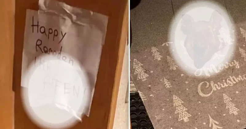 Avusturya da Irkçı Saldırı