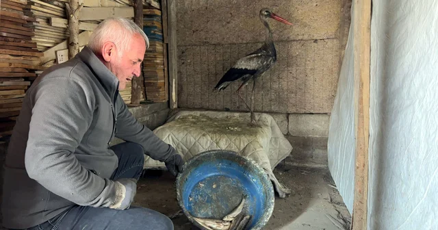 Donmak üzereyken bulduğu leyleği, 2,5 aylık bakım sonrası doğaya bıraktı Hakkari Haberleri