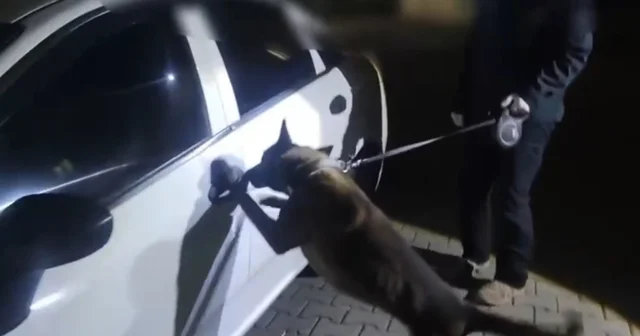 İstanbul dan takibe alındılar, Sakarya da yakalandılar: 2 kişi tutuklandı Sakarya Haberleri