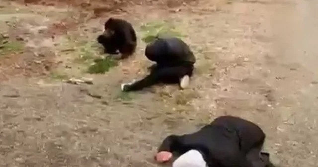 Madde etkisinde kalan 3 şahıs yere yığıldı Adıyaman Haberleri