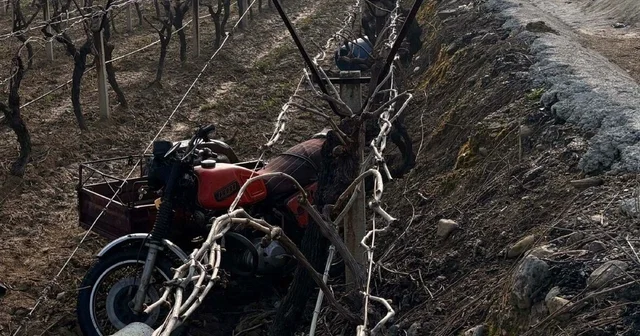 Manisa da sepetli motosiklet üzüm bağına devrildi: 1 ölü Manisa Haberleri