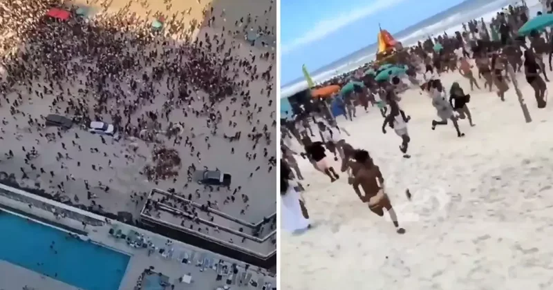 Silah seslerini duyunca denizden çıkıp panikle kaçtılar