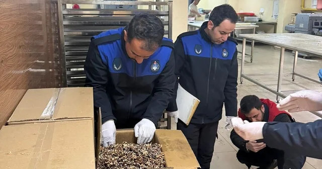 Haliliye de 180 kilogram küflenmiş ceviz ele geçirildi Şanlıurfa Haberleri