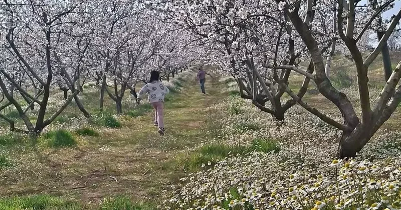 Sarıgöl’de kartpostallık manzara