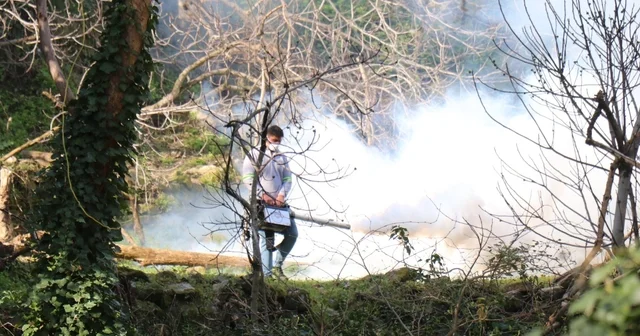 Bozdoğan Belediyesi ilaçlama çalışmalarını aralıksız sürdürüyor Aydın Haberleri