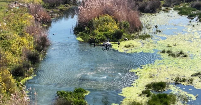 Manisa da sivrisinek alarmı Yaklaşan yaz ayları öncesi Manisa da sivrisinek ve zararlı haşerelere karşı mücadele yoğunlaştırıldı Manisa Haberleri