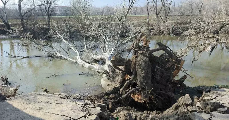 9 yıl sonra gelen taşkınlar zemini vurdu: Tunca Nehri’ndeki kıyıda yarıklar oluştu