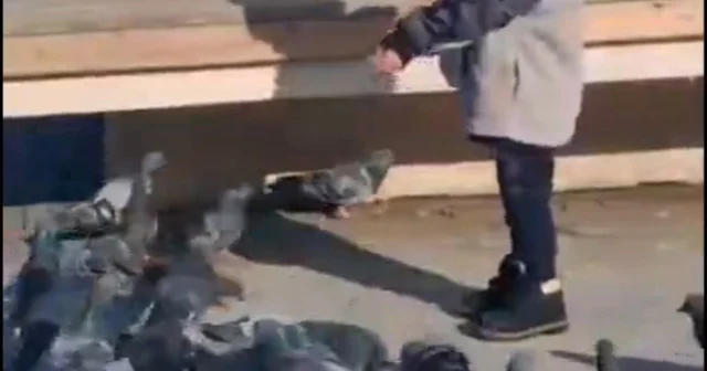 Çöp kamyonun altında kalıp ölen Serhat ın son görüntüleri ortaya çıktı Bursa Haberleri