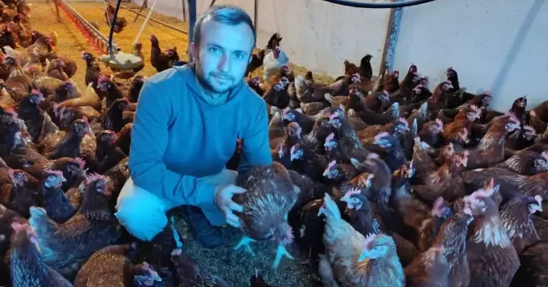 Şehirde kirasını ödeyemezken, köyünde patron oldu! Tavuklar resmen nakit yumurtluyor