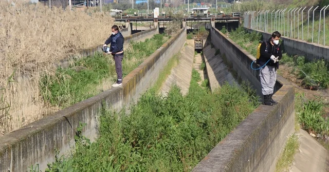 Nazilli Belediyesi sivrisinek ve haşereyle mücadeleye kesintisiz devam ediyor Aydın Haberleri