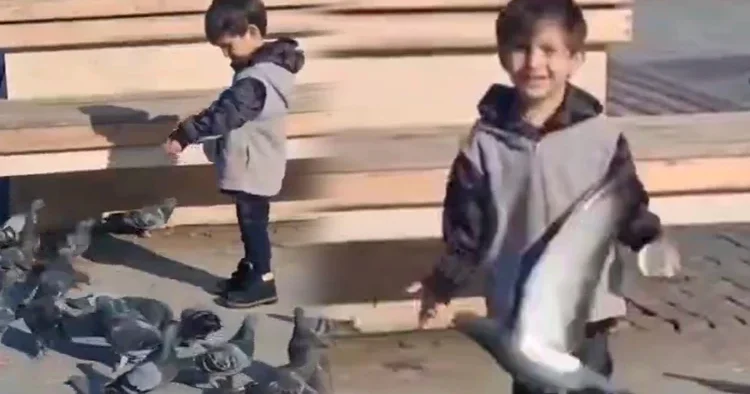 4 yaşındaki Serhat ın ölümü Türkiye yi yasa boğmuştu: Son anlarının görüntüsü ortaya çıktı