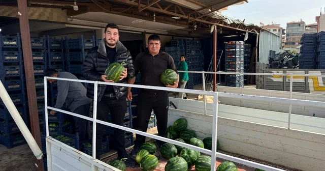 Antalya da sezonun ilk karpuz hasadı yapıldı Karpuzun kilogramı ortalama 40 liradan satılıyor Antalya Haberleri