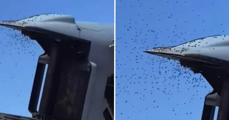 İsrail i arılar istila etti: Uçaklar durdu, evinizden çıkmayın çağrısı yapıldı Sözcü Gazetesi